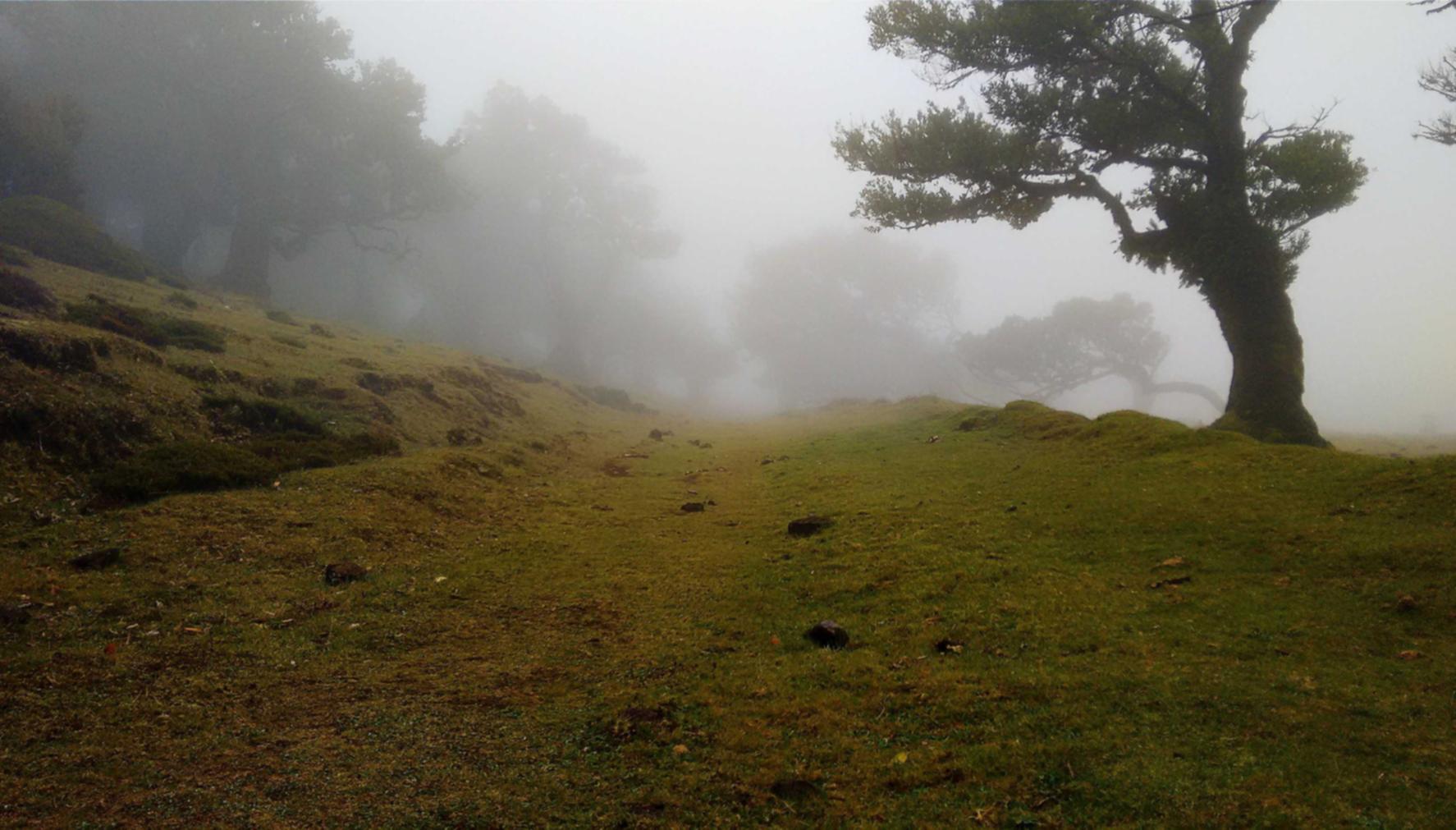 苏宁阅读app详情下载教程