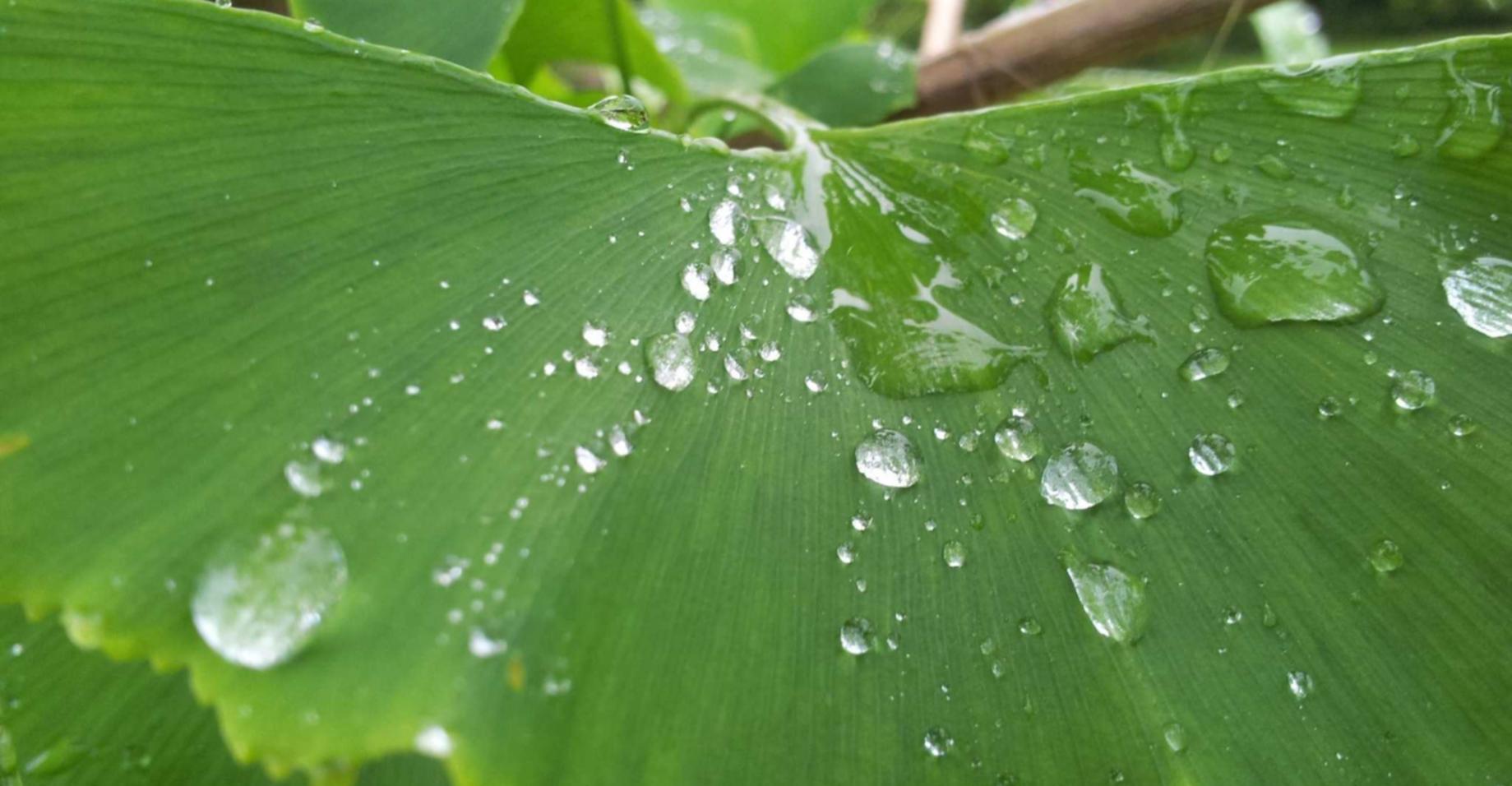 京东云实名账号：天津代理注册公司诚信服务