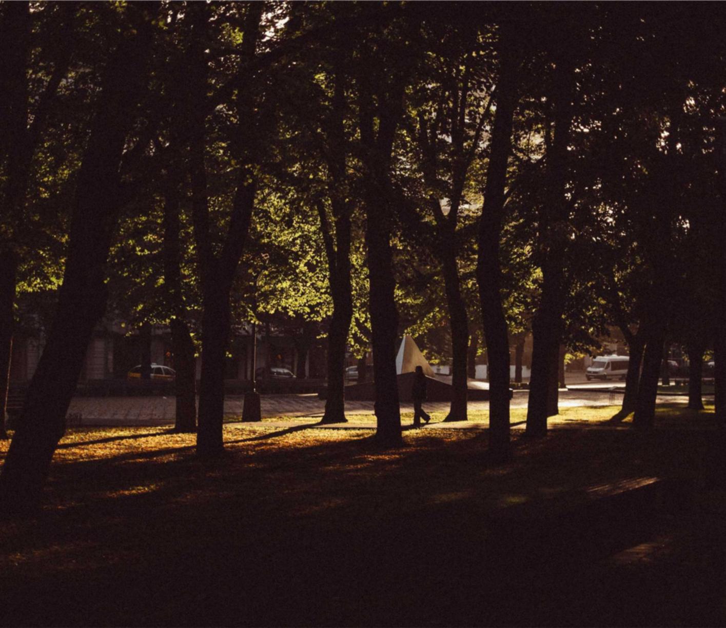 滴滴实名账号：代理注册公司法人的责任