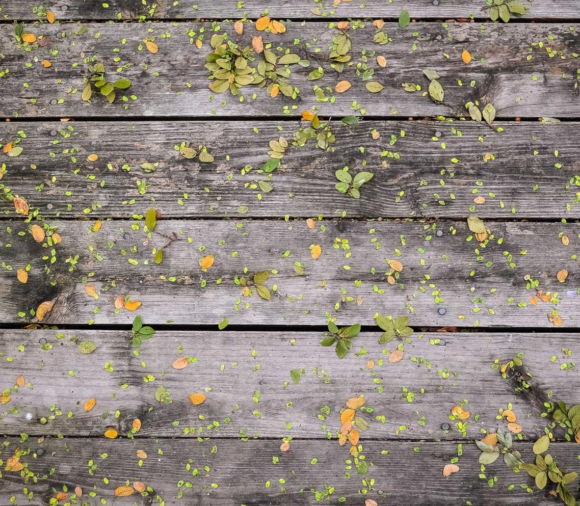 恒行2代理大连工商注册