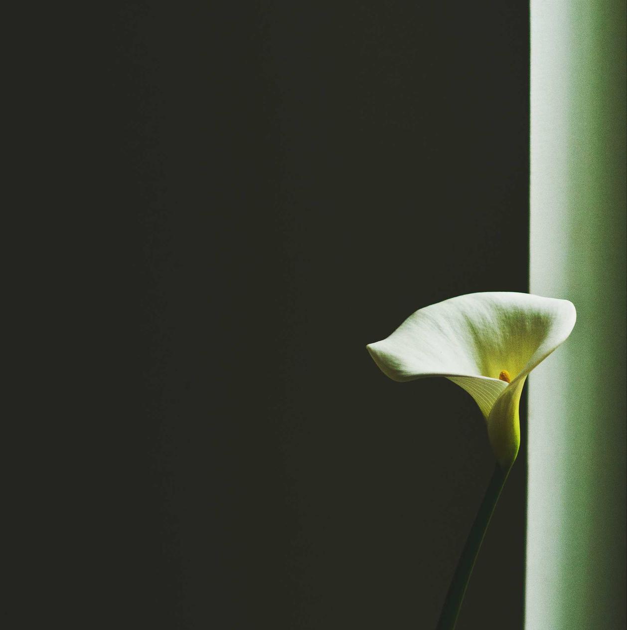 快代理ip实名账号：汽车购买平台是否应该实行实名认证？