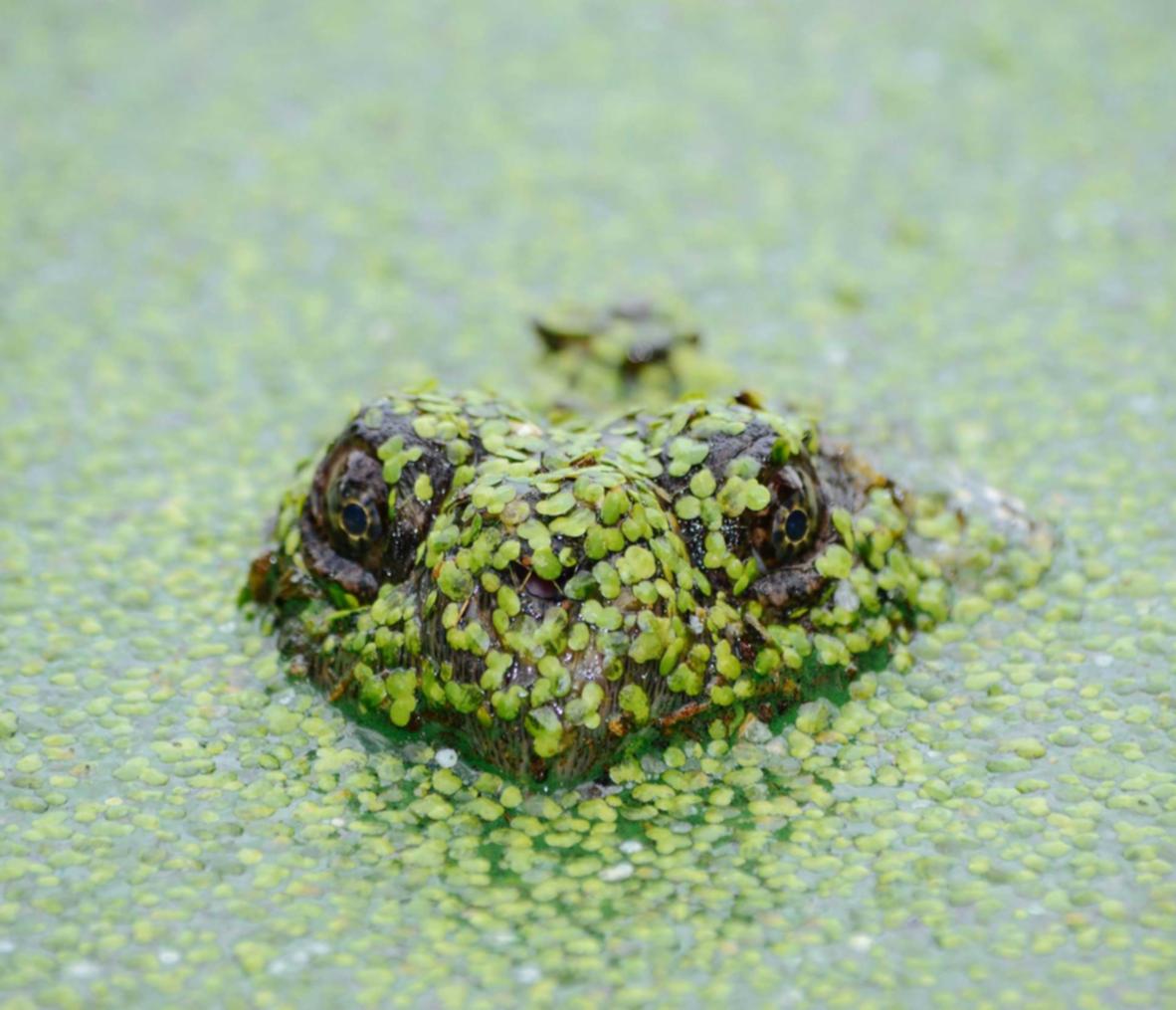 与技术支持辅助展开的奋战史