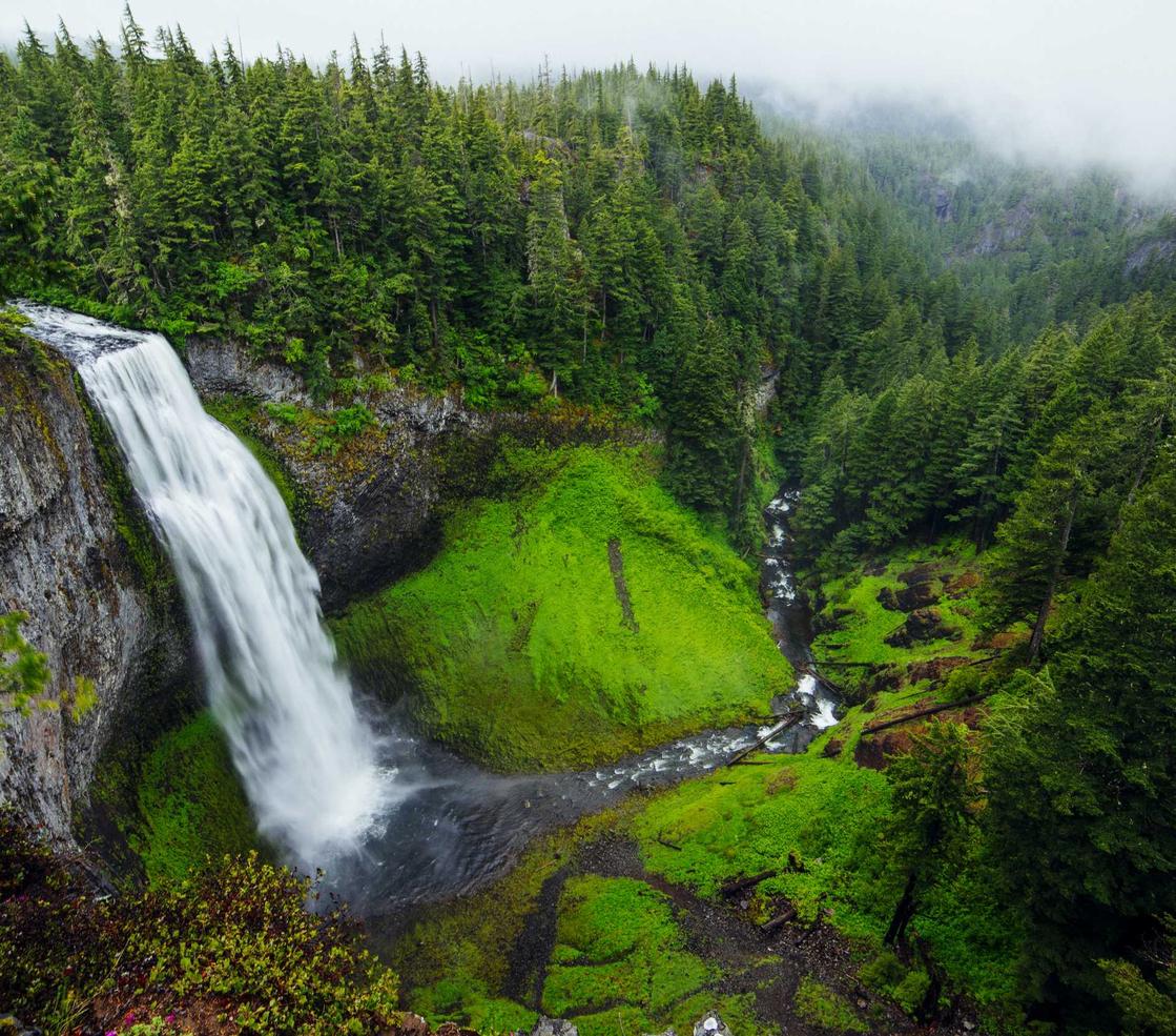 大华功夫：东莞石龙代理注册