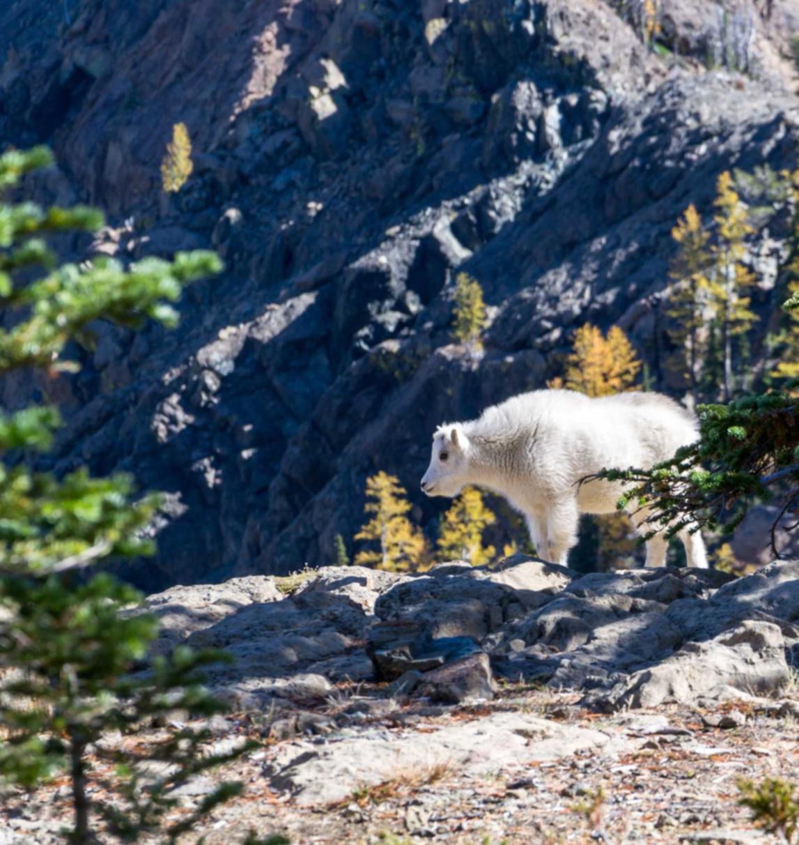 众鑫招投标公司代理平台