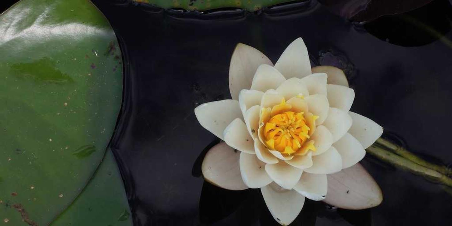 天顺直击消费者密切关注的产品特点