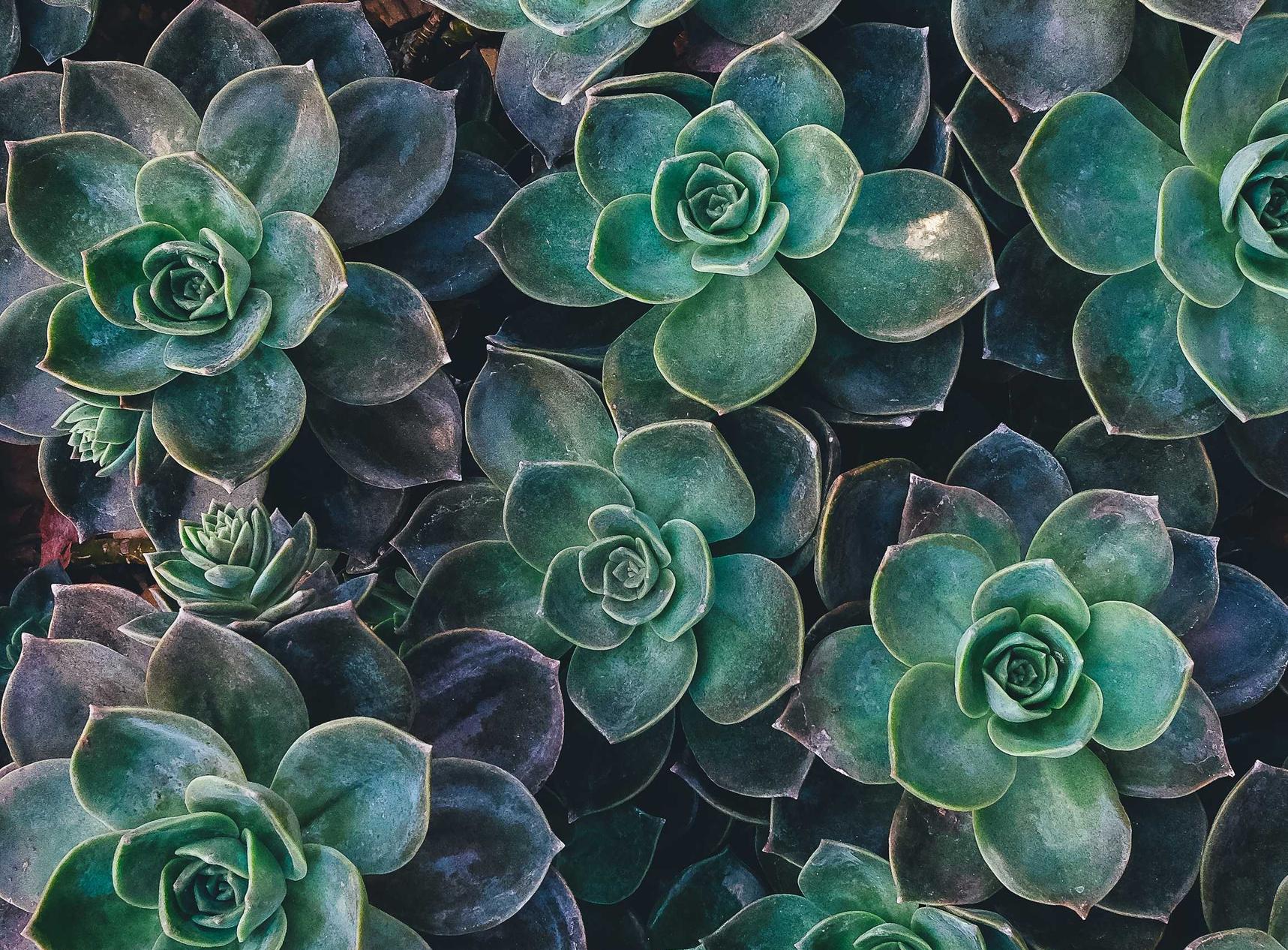 京东通信实名账号：实名制账号对于移动互联网时代的管理趋势