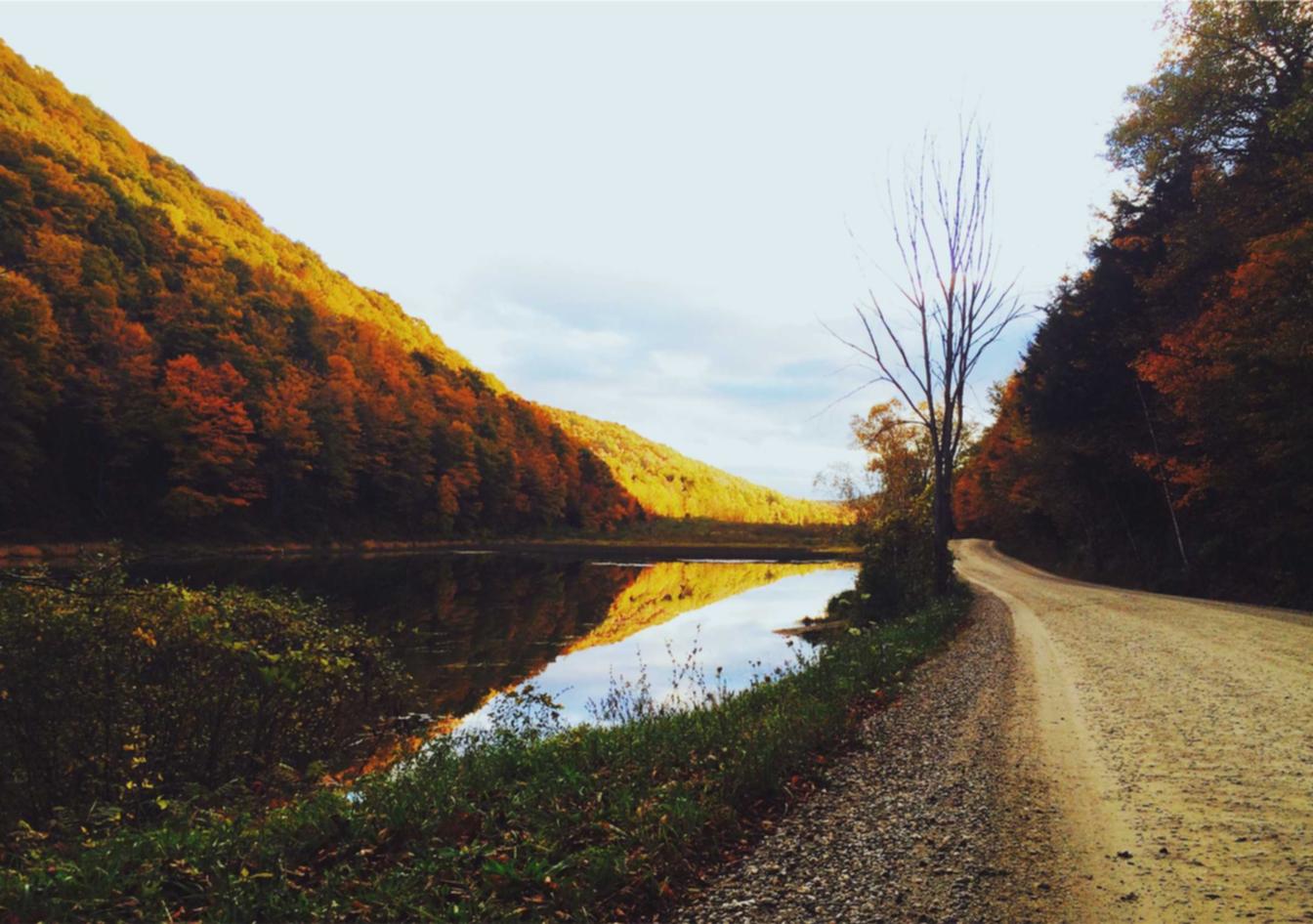 阿里山中支大华黄金眼爆珠:江苏代理报税专业平台