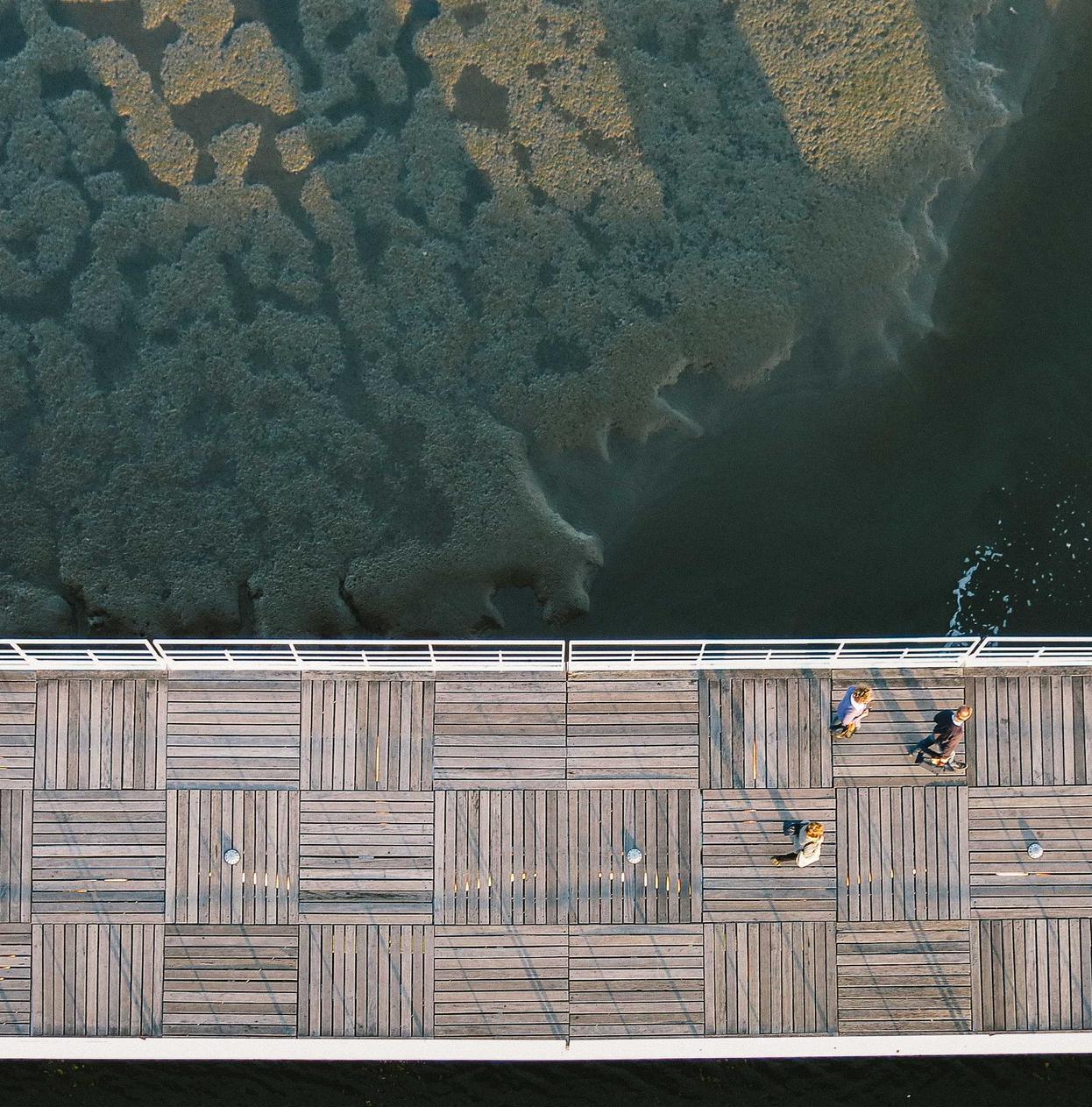 青牛软件实名账号：上海公司注册税务代理记账