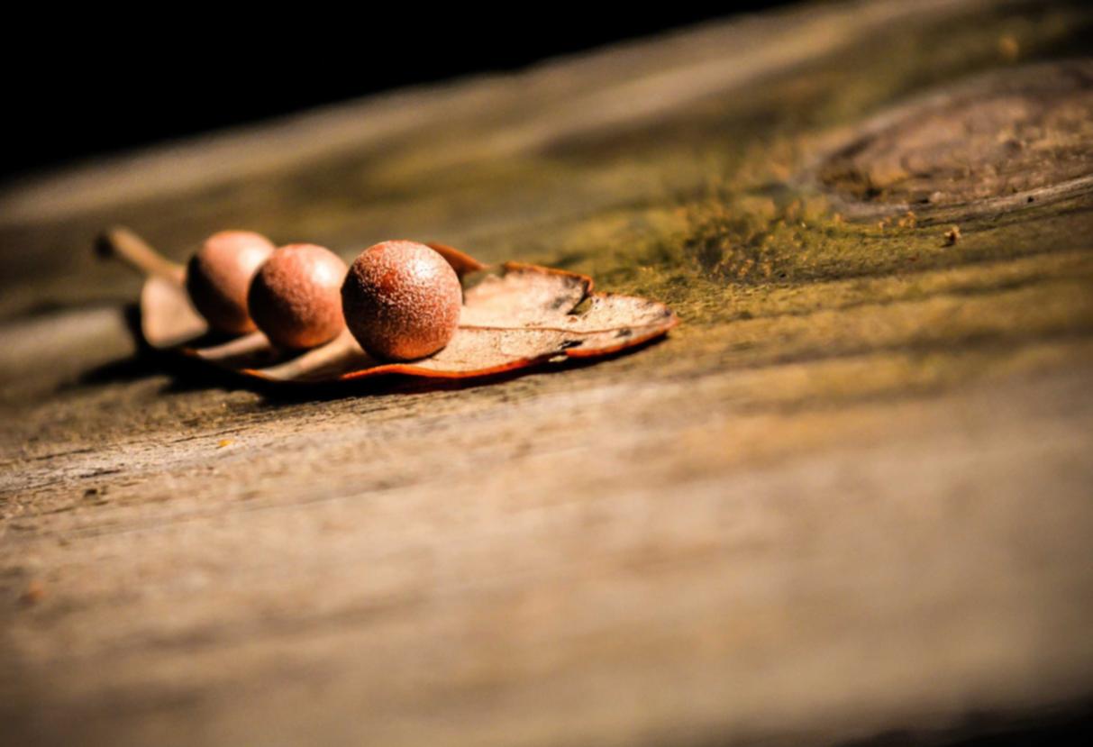 全新微信买卖:登封工商注册代理