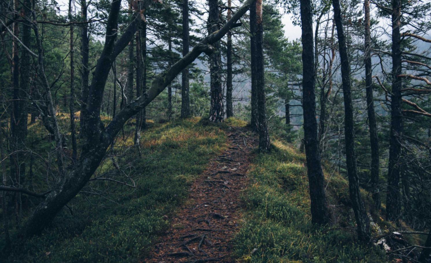 远特信时空实名账号：浙江政务服务官网注册账号