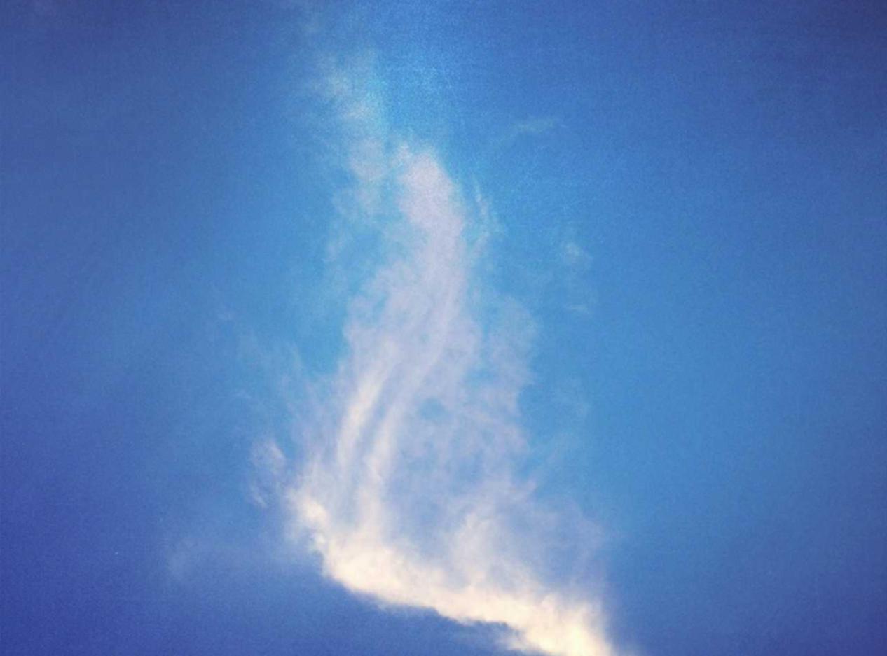 定制防御方案!根据企业需求选择最佳的DDoS攻击防护服务!