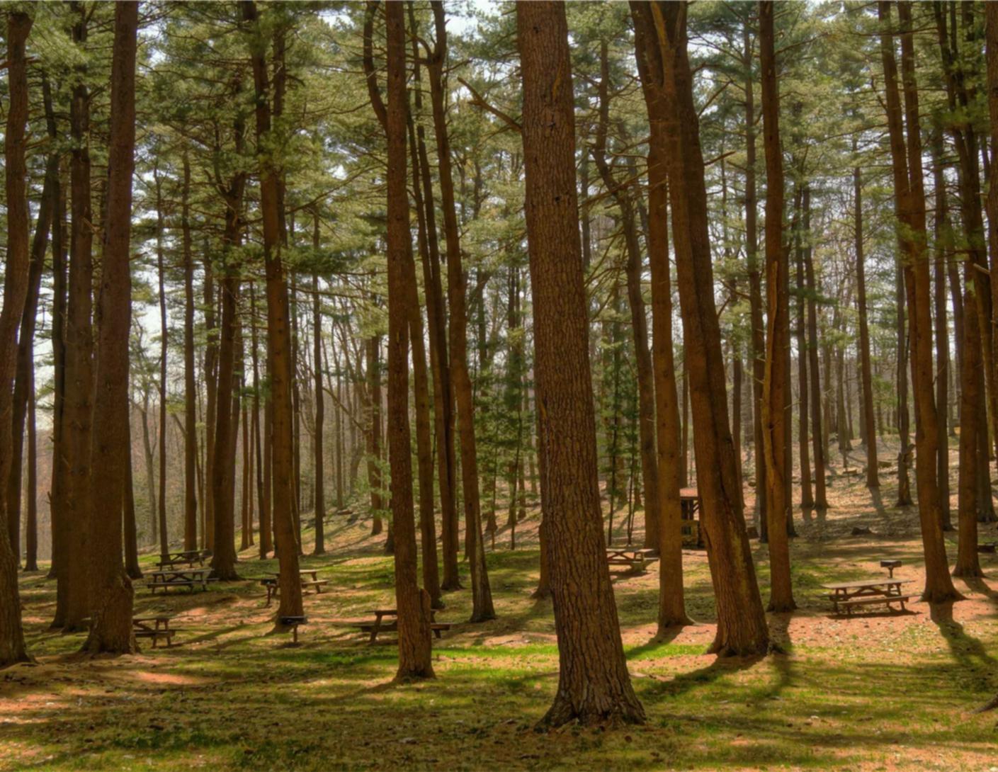 DDOS网页端源码|平阳代理记账平台