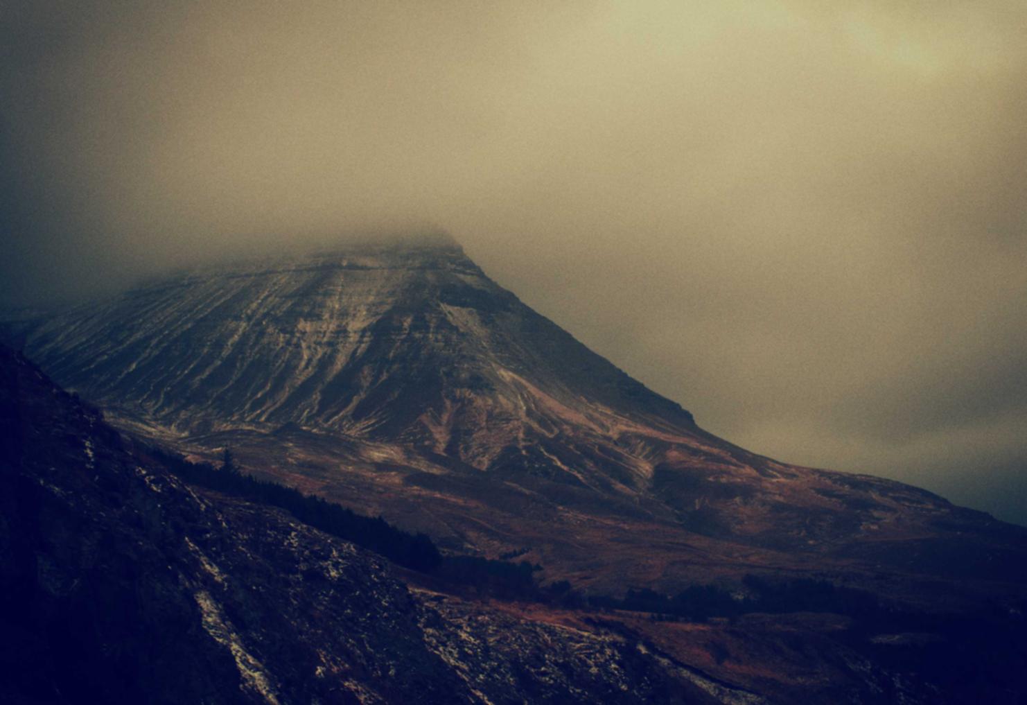 新款爱喜爆珠：购买柠檬的平台