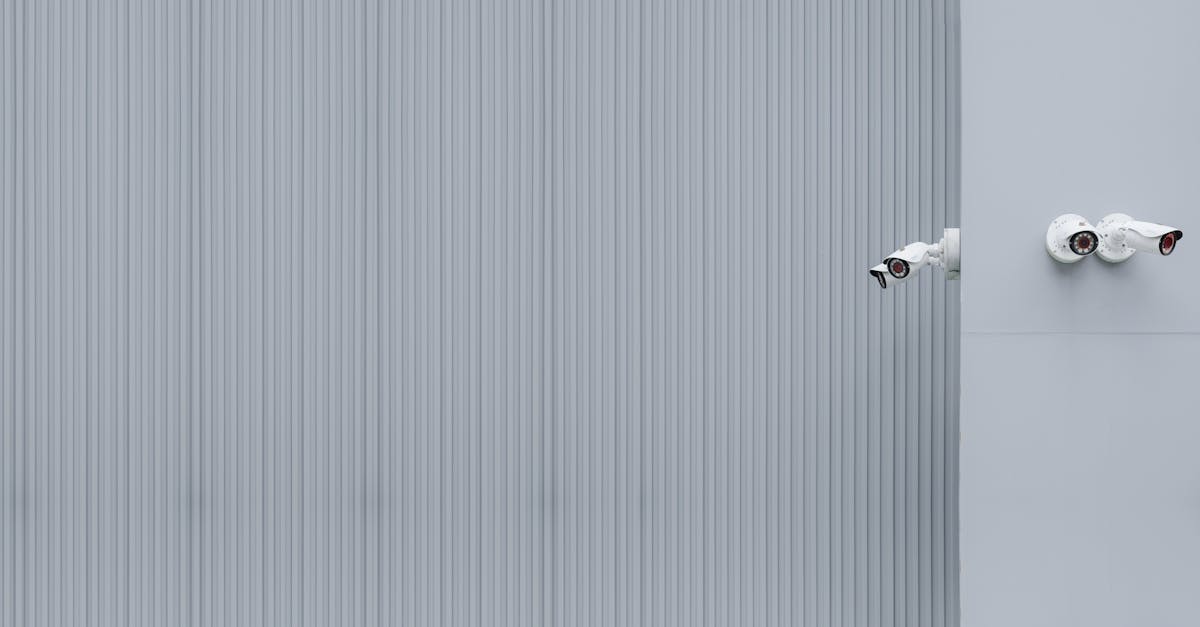 铁塔猫日月双爆珠(细):如何找平台代理产品