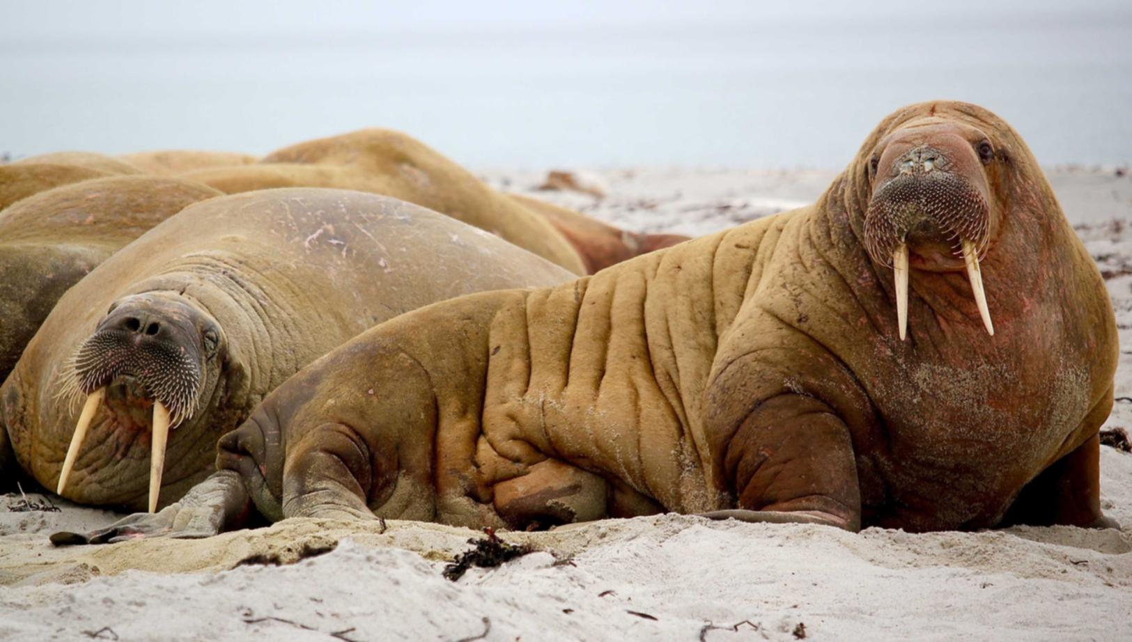 cc网页端|富二贷app详情下载教程