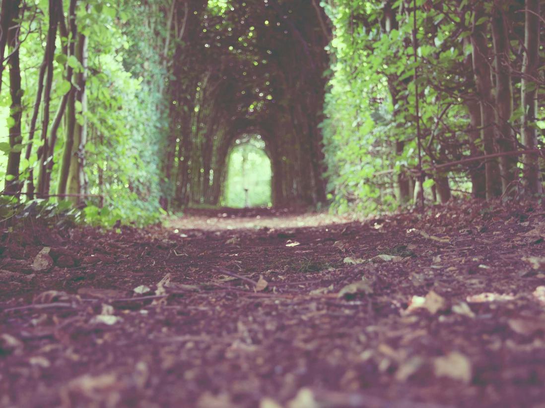 聚名网实名账号：郴州跑胡子平台代理