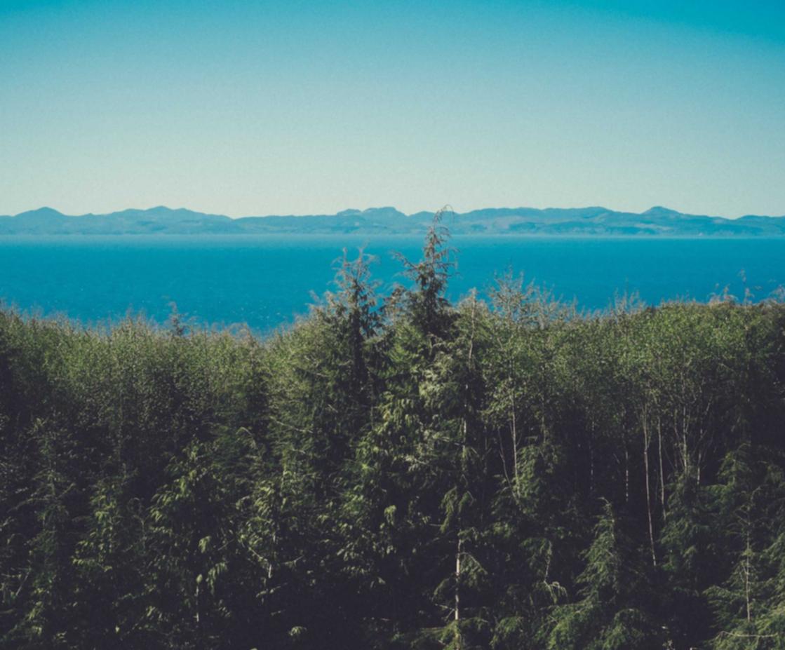 天堂2M(国际服):小说第三方代理平台收费