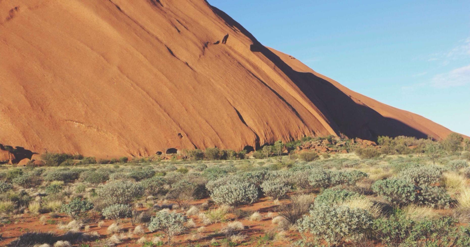 DDOS接单平台|如何利用黑客技巧防御黑客攻击