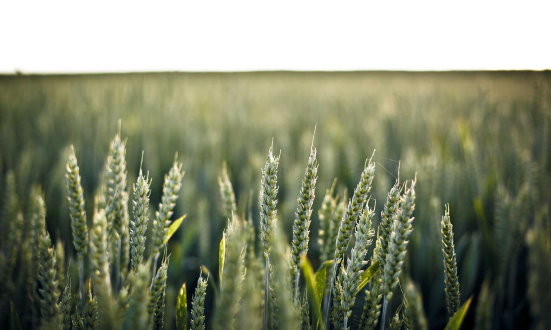 DDOS压力测试|小红书账号注册在哪里查看