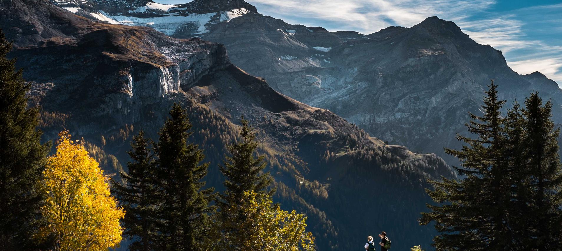 DDOS压力测试|华侨城代理注册