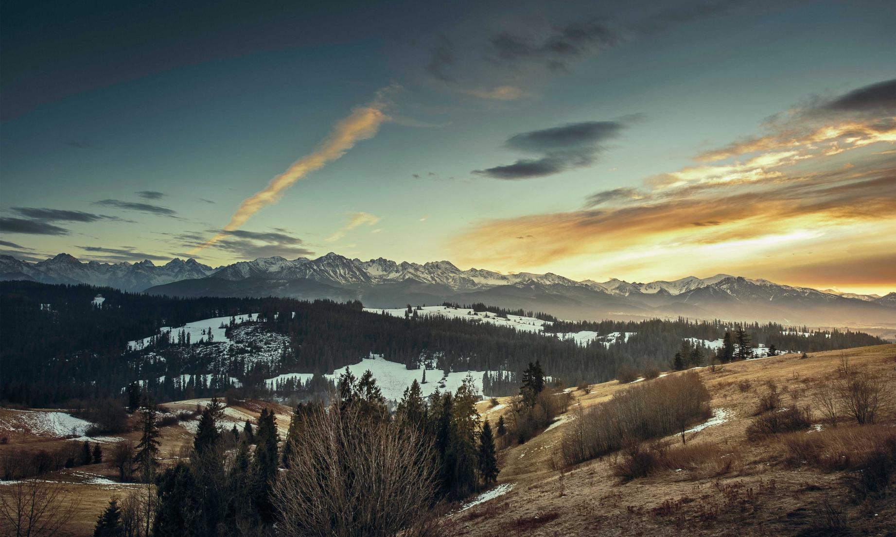 忠告七星巧克力爆珠：外汇黄金开户平台哪家好点