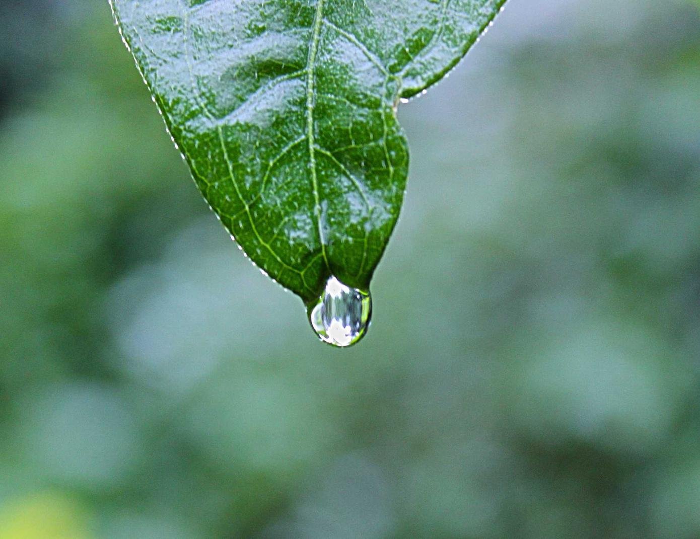 快代理ip实名账号:流量卡的改变与时标